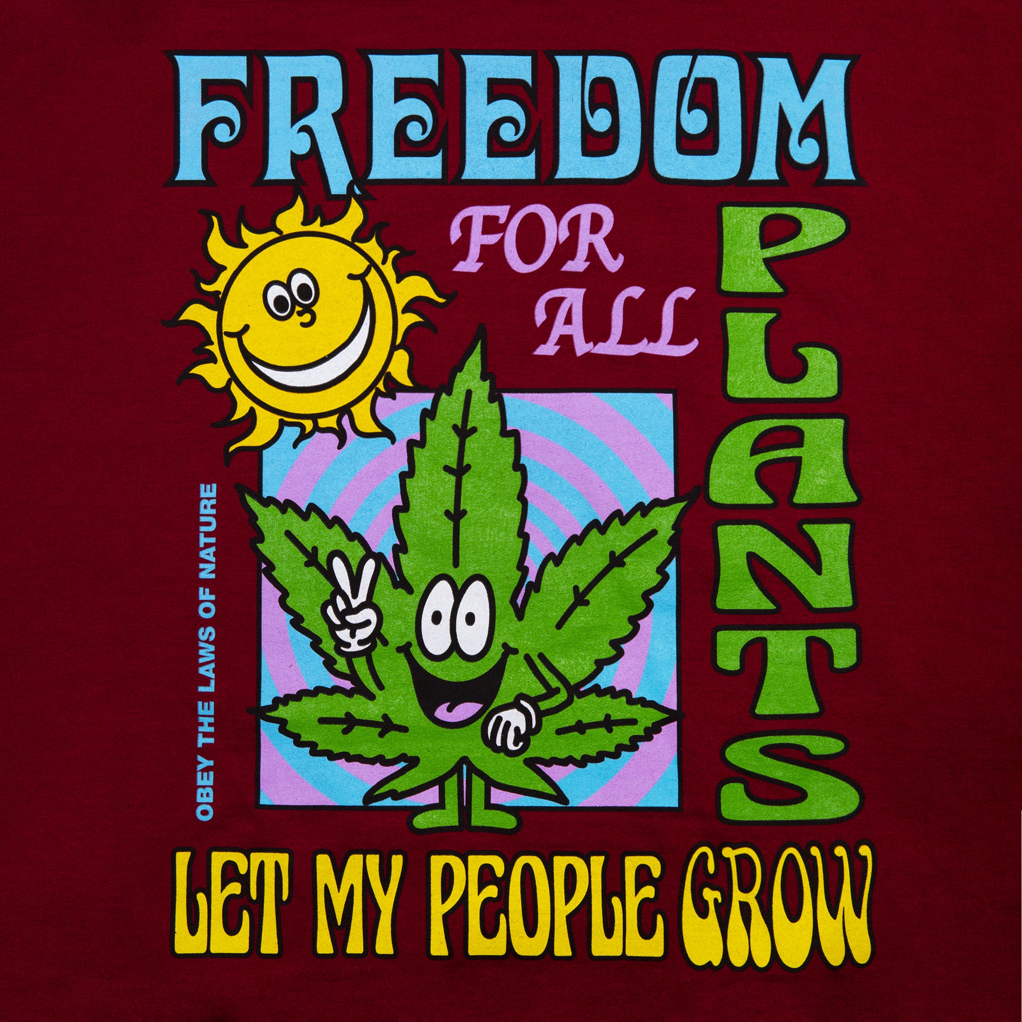 Close-up view of back graphic print of Made in Paradise World Drug Trade Collection "PLANT LIFE" burgundy hoodie