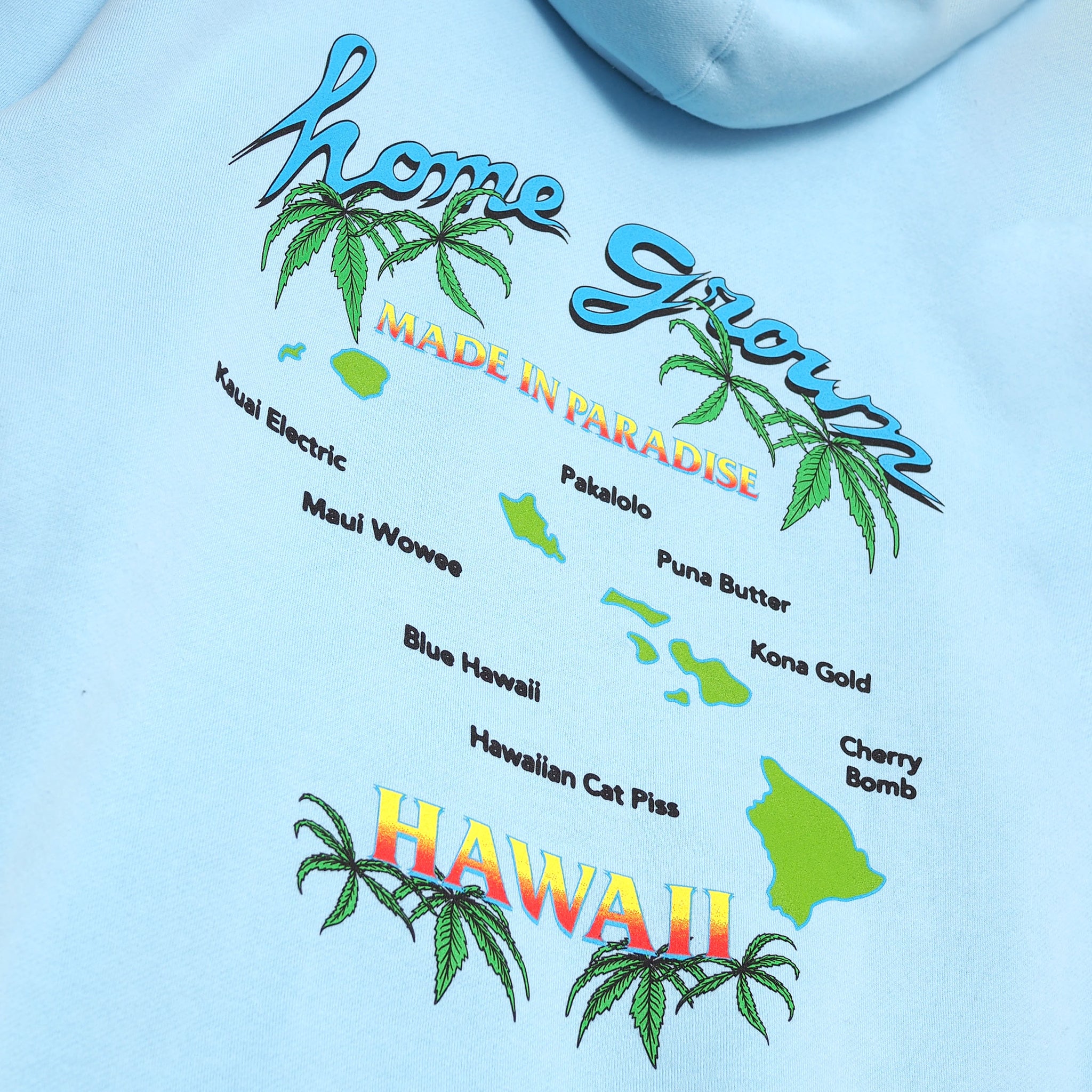 Close-up view of back graphic print of Made in Paradise Homegrown Collection "HOME GROWN" light blue hoodie
