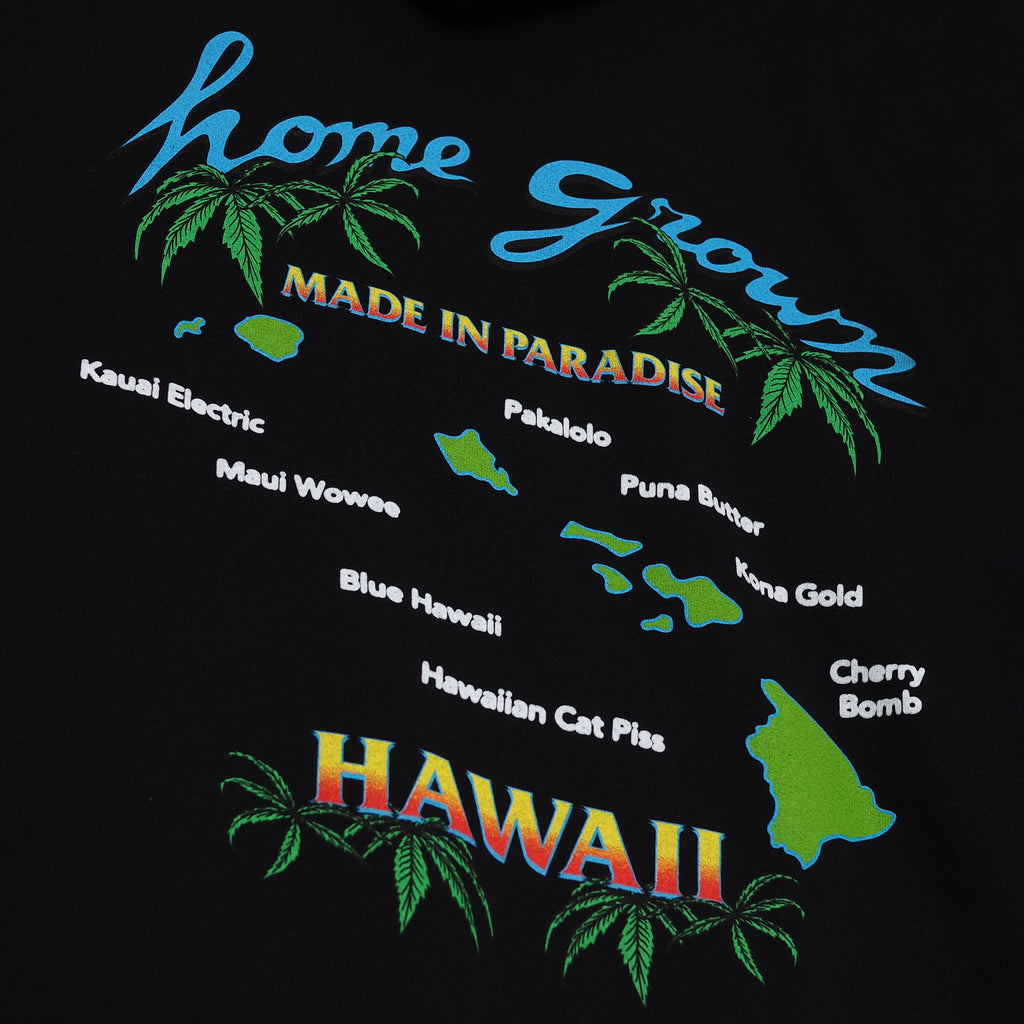 Close-up view of back graphic print of Made in Paradise Homegrown Collection "HOME GROWN" black hoodie